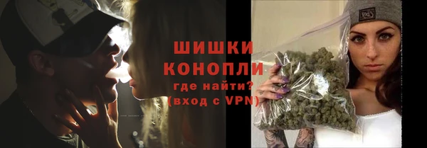 шишки Алексеевка