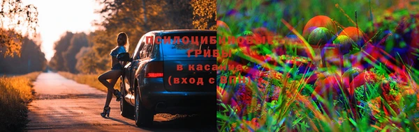 гашишное масло Алексин