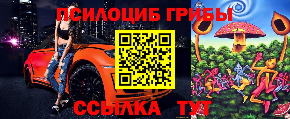 Псилоцибиновые грибы мицелий Астрахань