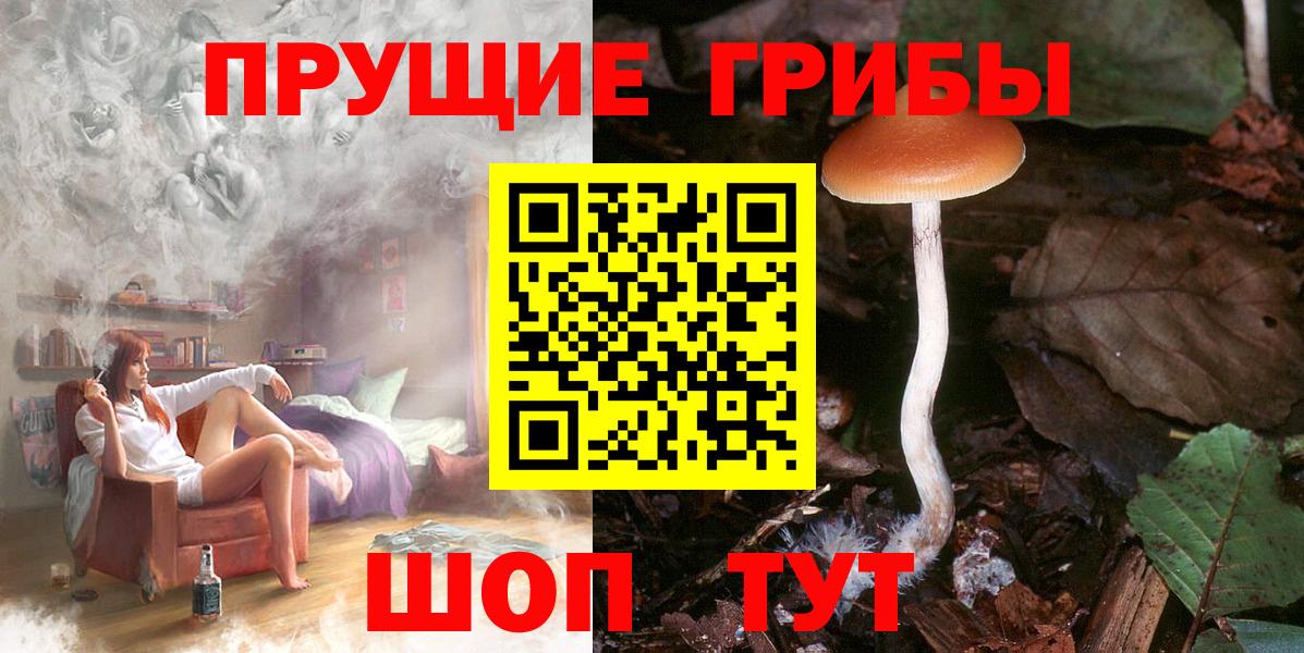 Галлюциногенные грибы мицелий  Псилоцибиновые грибы Cubensis  наркотики  Астрахань  Вход с VPN 